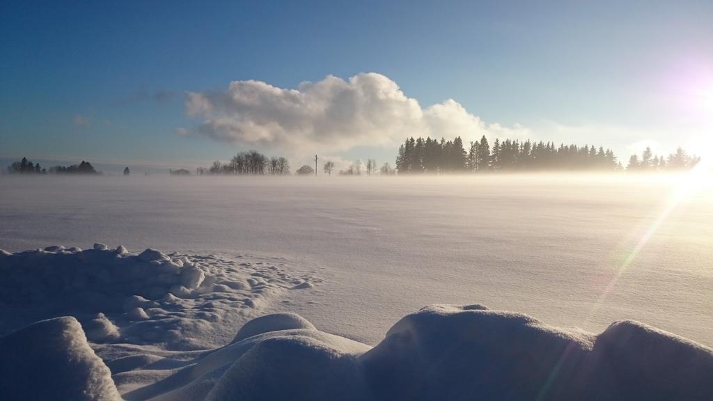 Schwarzwald Lodge Rothaus กราเฟินเฮาเซน ภายนอก รูปภาพ
